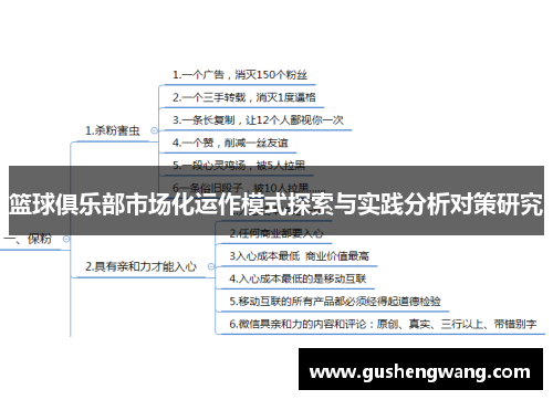 篮球俱乐部市场化运作模式探索与实践分析对策研究