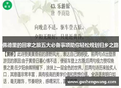 佩德里的回家之旅五大必备事项助你轻松规划归乡之路
