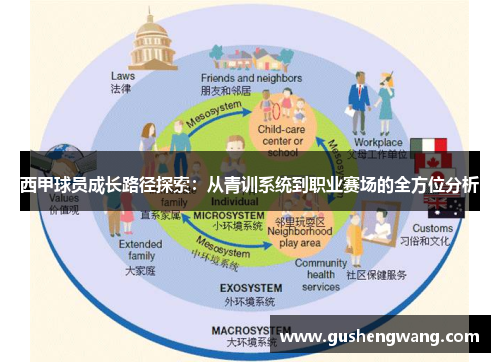 西甲球员成长路径探索：从青训系统到职业赛场的全方位分析