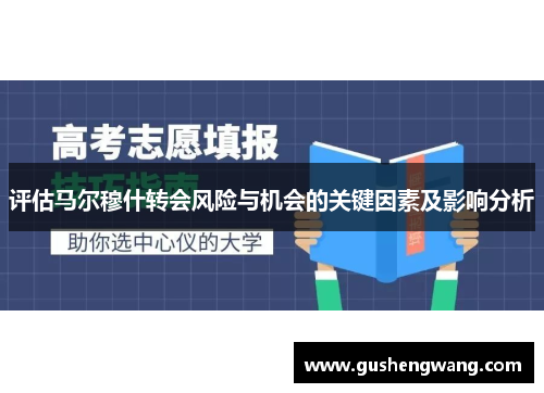 评估马尔穆什转会风险与机会的关键因素及影响分析