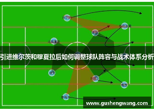 引进维尔茨和穆夏拉后如何调整球队阵容与战术体系分析