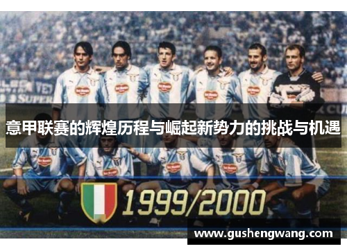 意甲联赛的辉煌历程与崛起新势力的挑战与机遇